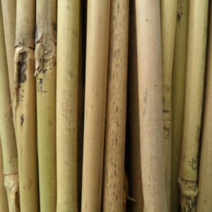 Tuteurs Bambous Ronds
