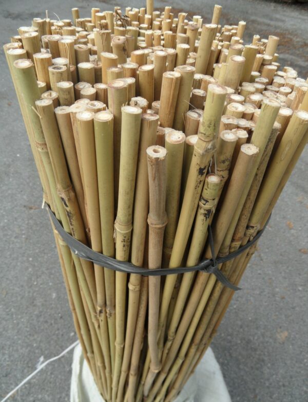 Tuteurs Bambous Ronds